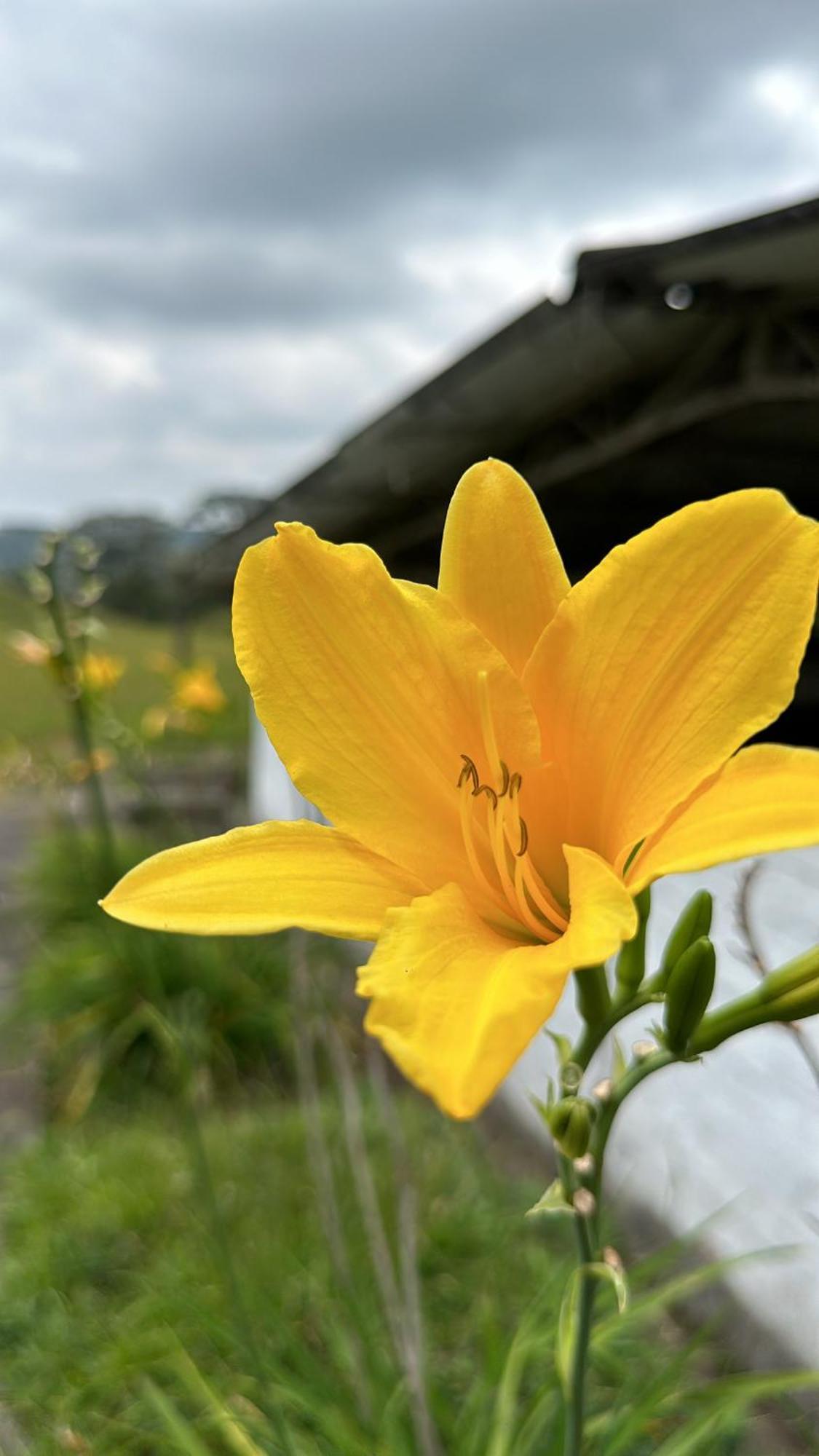 Finca La Toscana El Manzano  エクステリア 写真